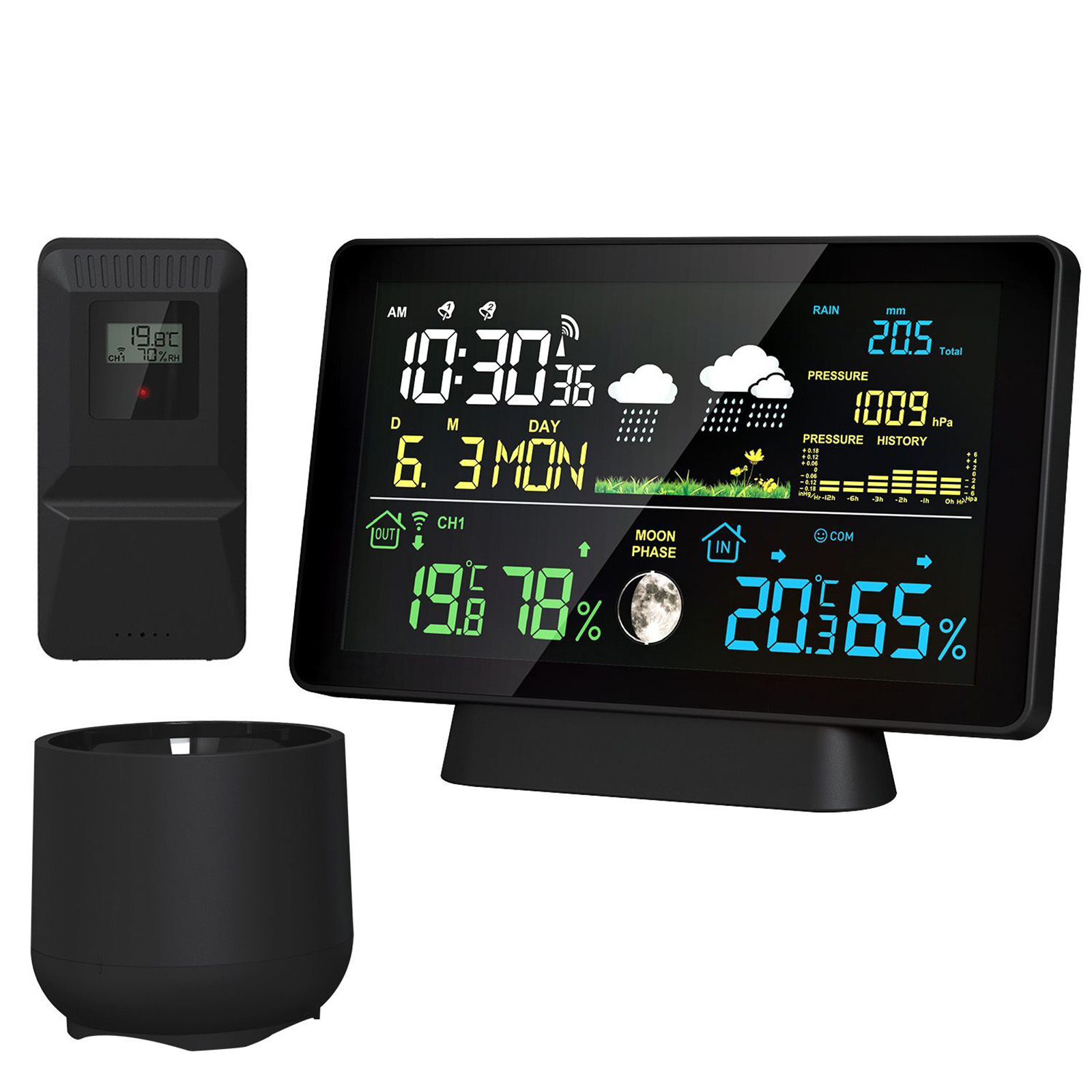 Garden Weather Station - Indoor/Outdoor Wireless Weather Station Thermometer Time