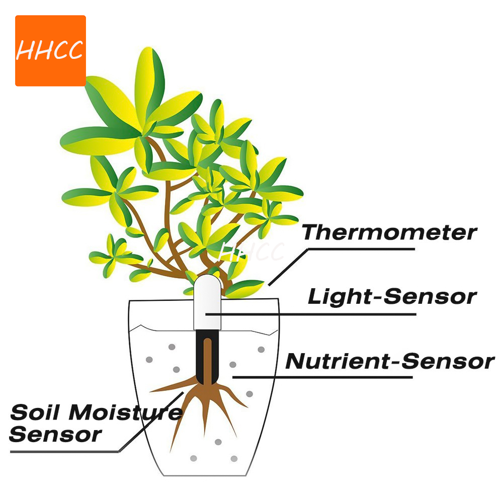 HHCC Smart Flower Monitor Flor - Smart Garden Xiaomi ulasan dan harga