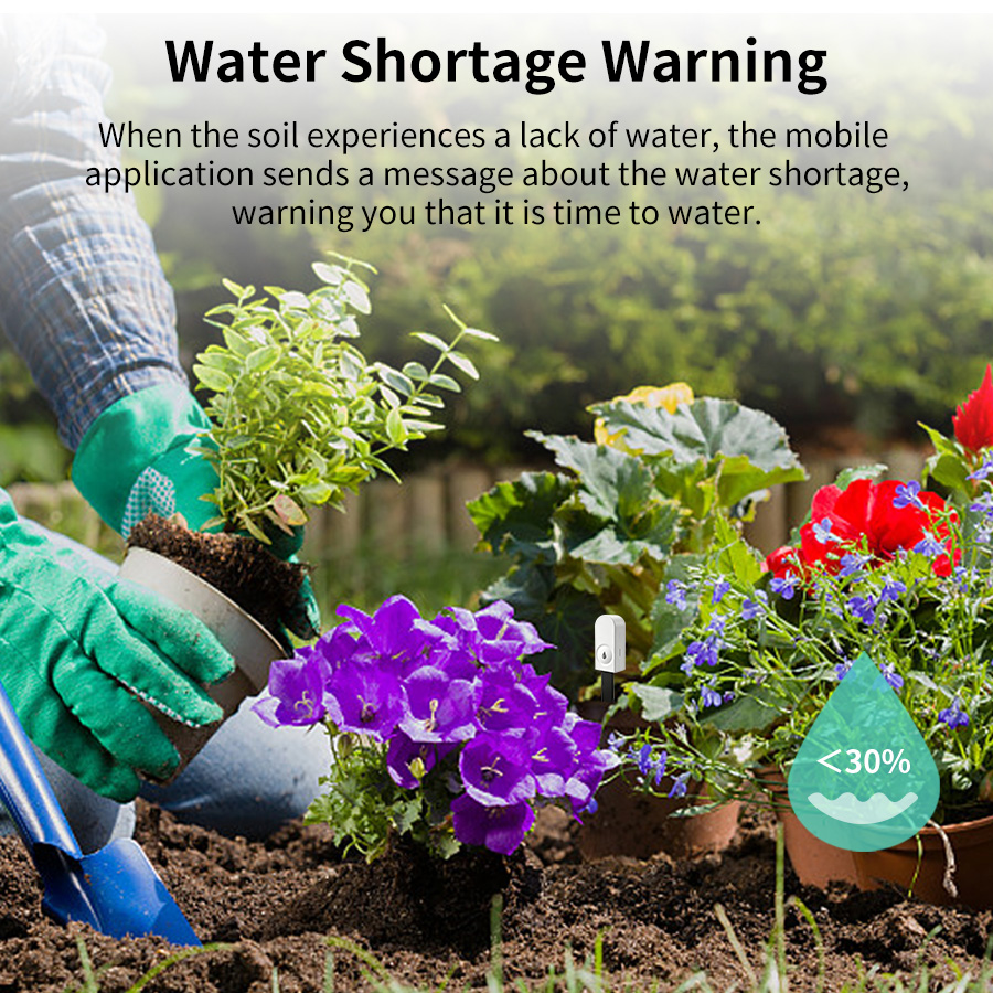 Smart ZigBee Soil Moisture Sen - Smart Garden Products ulasan dan harga
