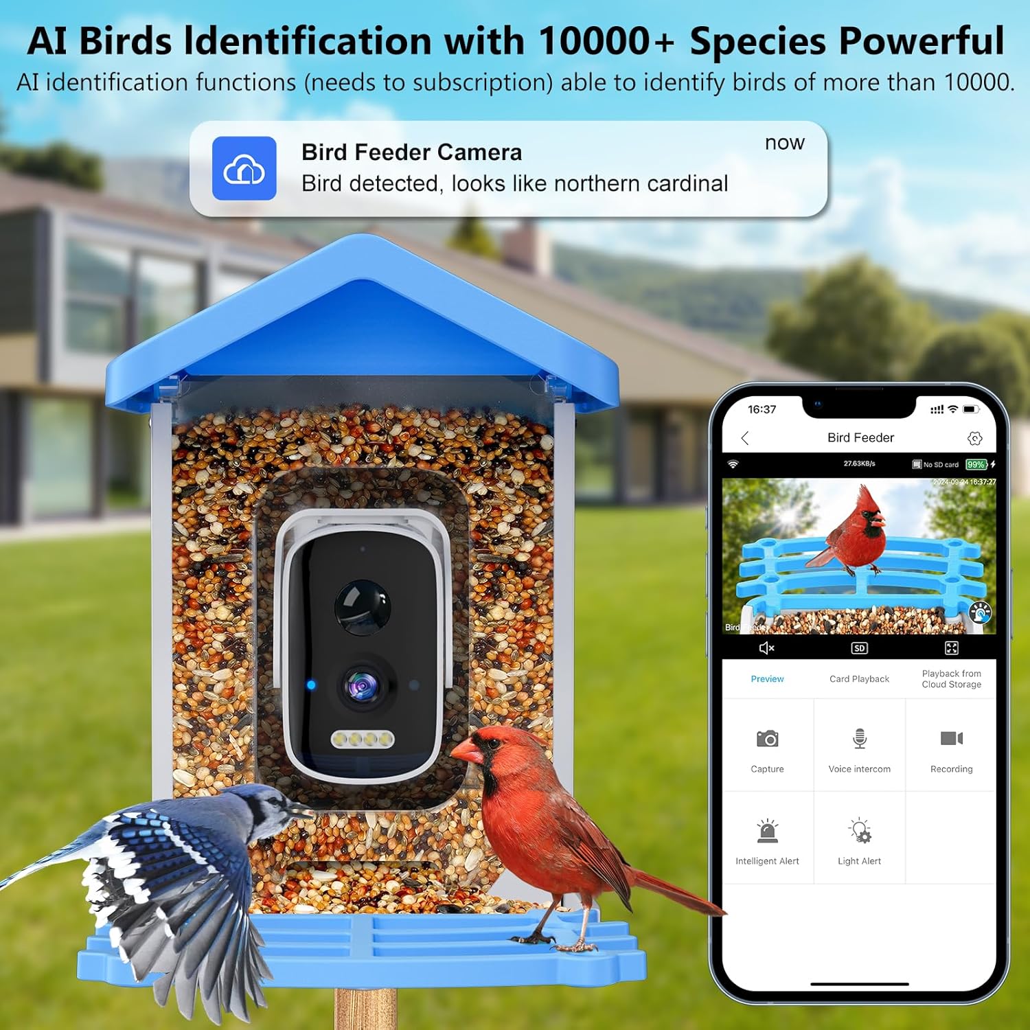Smart Bird Feeder with Camera  - Smart Garden Ai ulasan dan harga