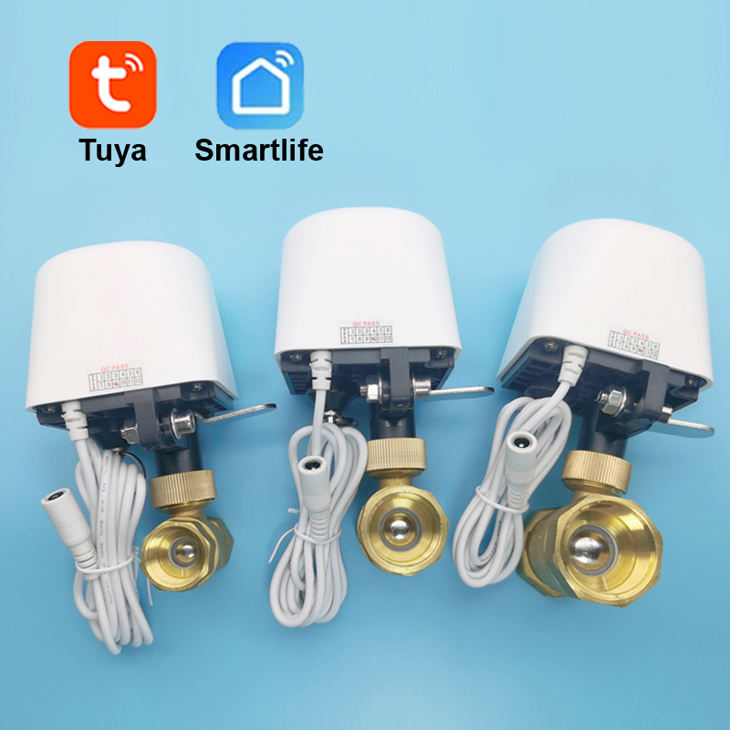 Smart Tuya WiFi Zigbee Water V - Smart Garden Home Assistant ulasan dan harga