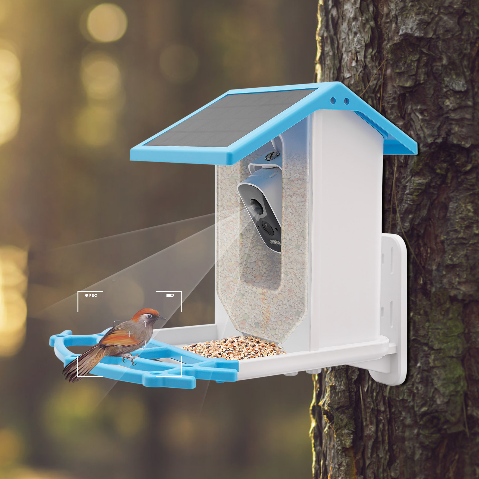 Solar Powered Smart Bird Feede - Smart Garden Ai ulasan dan harga