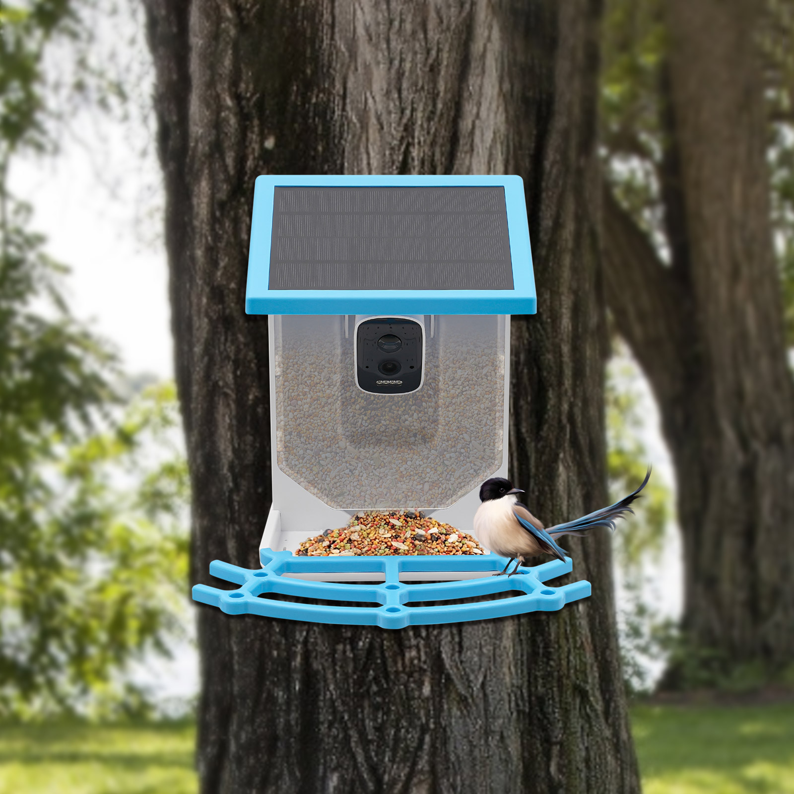 Solar Powered Smart Bird Feede - Smart Garden Ai ulasan dan harga