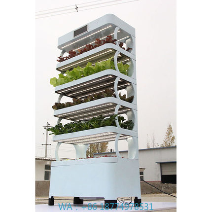 arming Home Hydroponic Growing - Smart Garden In Home ulasan dan harga