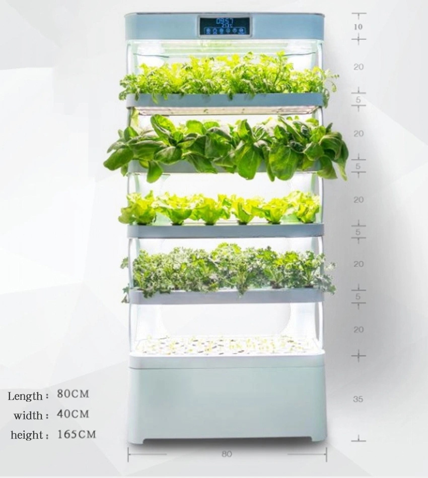 arming Home Hydroponic Growing - Smart Garden In Home ulasan dan harga
