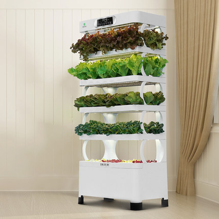 arming Home Hydroponic Growing - Smart Garden In Home ulasan dan harga