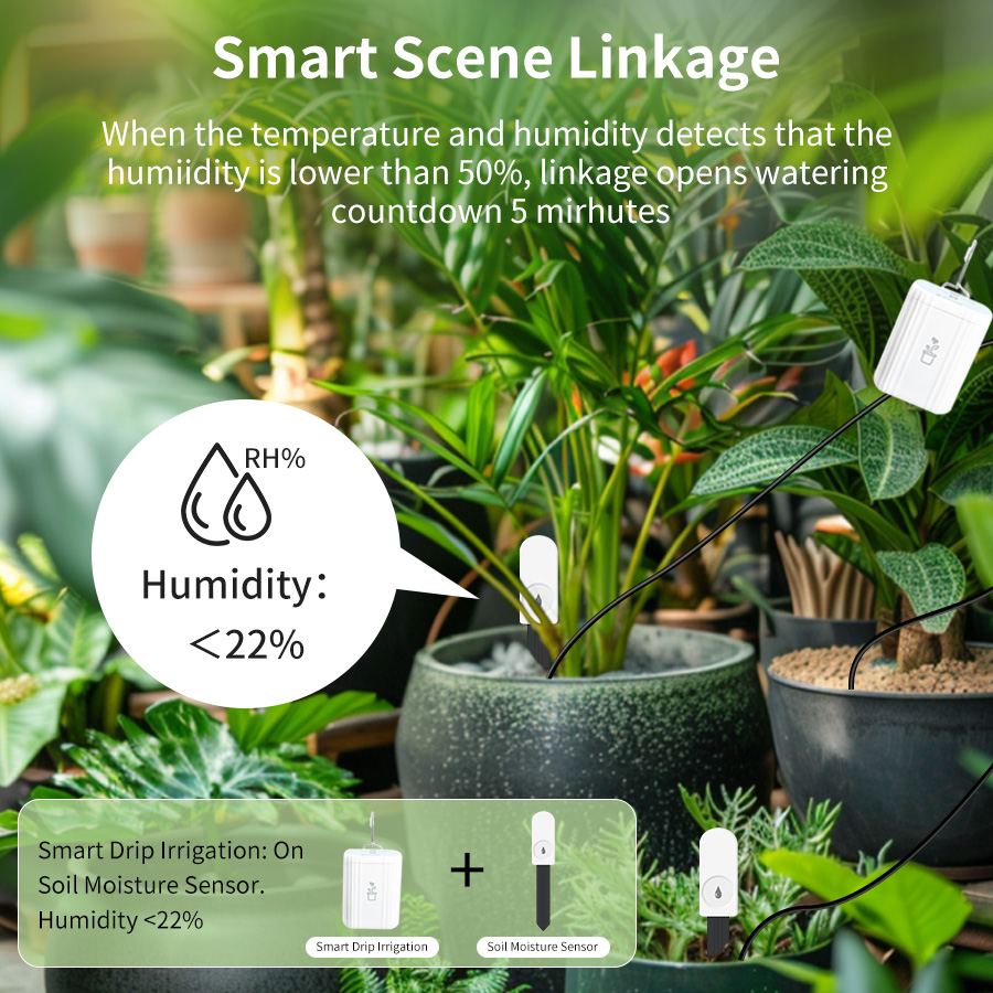 Smart Zigbee 3.0 Soil Tester H - Smart Garden Home Assistant ulasan dan harga
