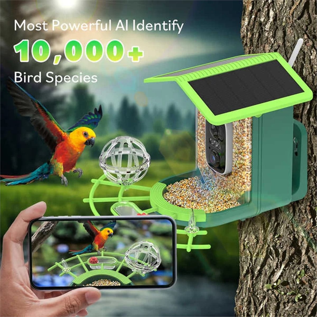 ABPP Smart Bird Feeder Camera  - Smart Garden Ai ulasan dan harga