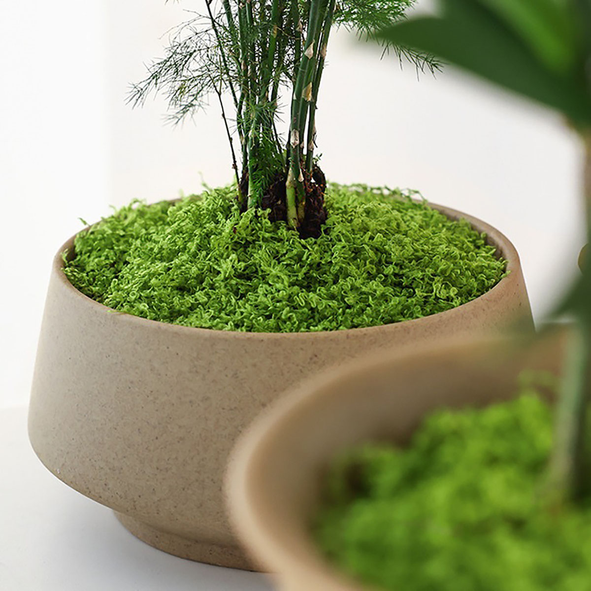 About 20g Artificial Green Pla - Smart Garden In Home ulasan dan harga