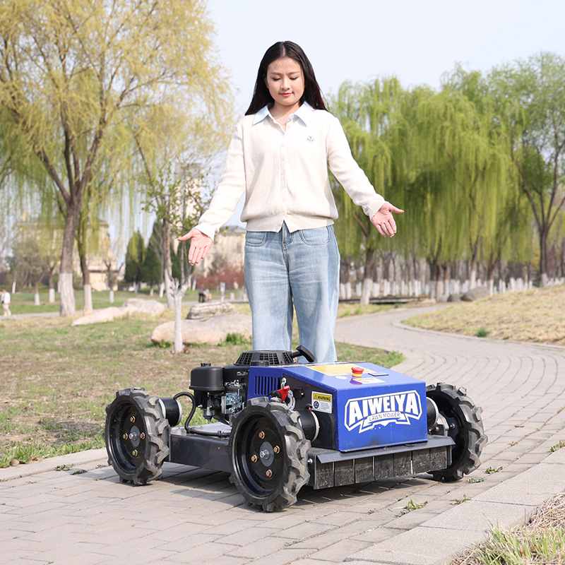 Customized Automatic Robot Law - Smart Garden Gadgets ulasan dan harga