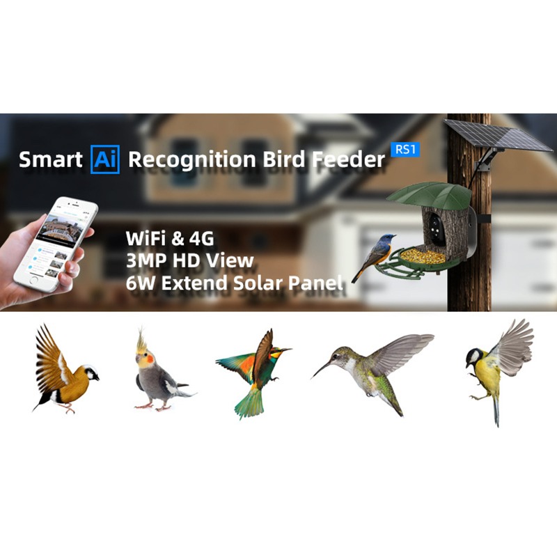 Solar AI Smart Bird Feeder Bir - Smart Garden Ai ulasan dan harga