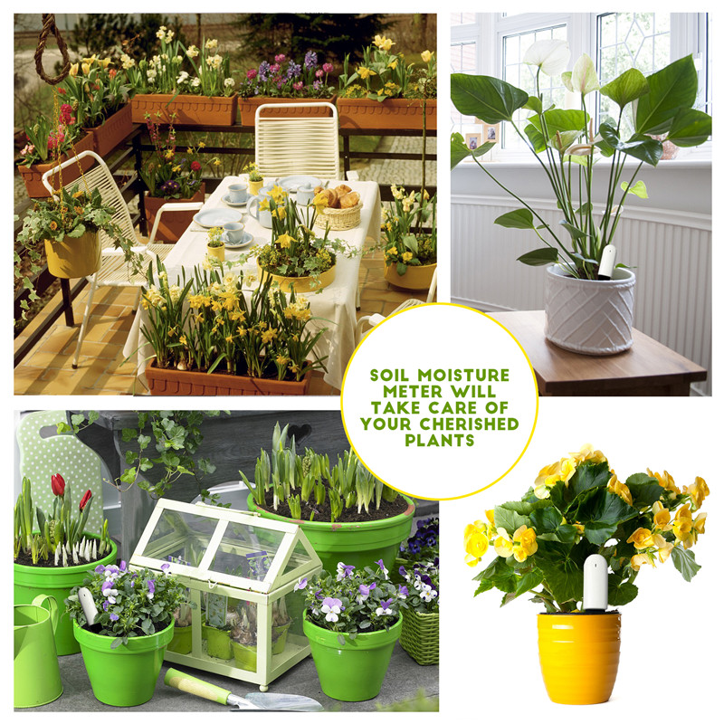 HHCC Flower Care Max Smart Pla - Smart Garden Xiaomi ulasan dan harga