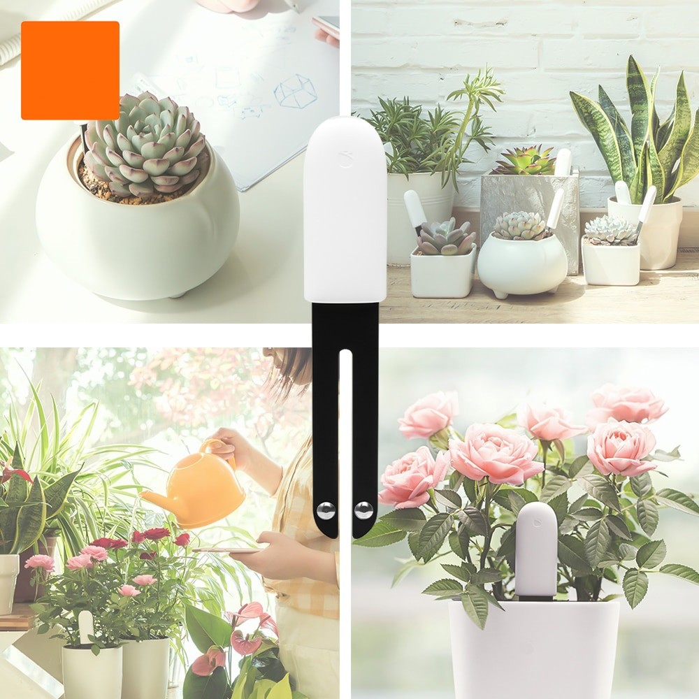 HHCC Smart Flower Flora Monito - Smart Garden Xiaomi ulasan dan harga
