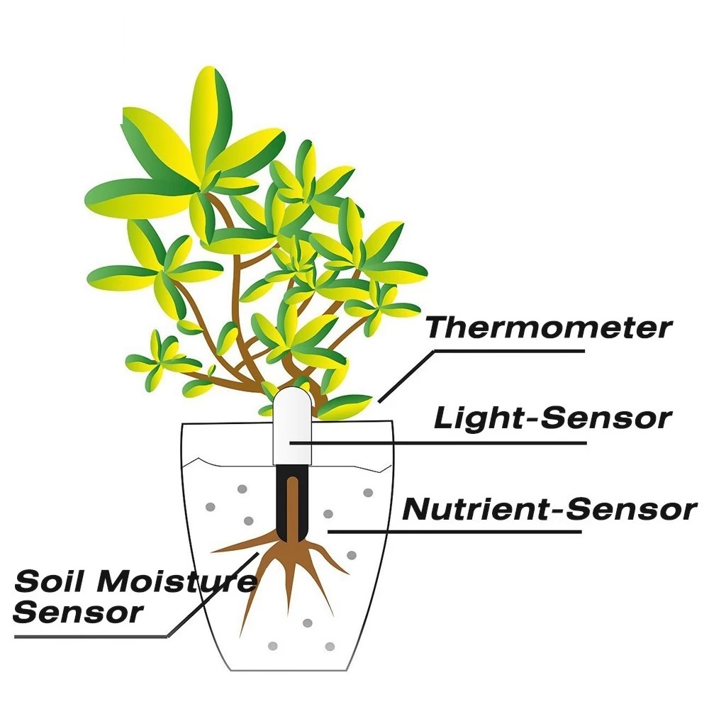 HHCC Flower Monitor Flora Gard - Smart Garden Xiaomi ulasan dan harga