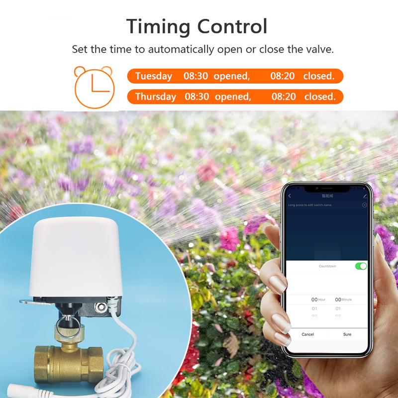 Wifi  Zigbee Tuya Water Valve  - Smart Garden Home Assistant ulasan dan harga