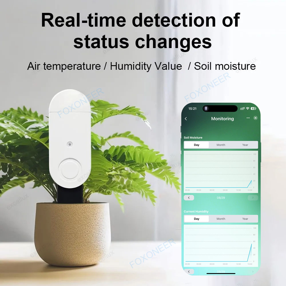 Zigbee 3.0 Smart Soil Tester L - Smart Garden Home Assistant ulasan dan harga