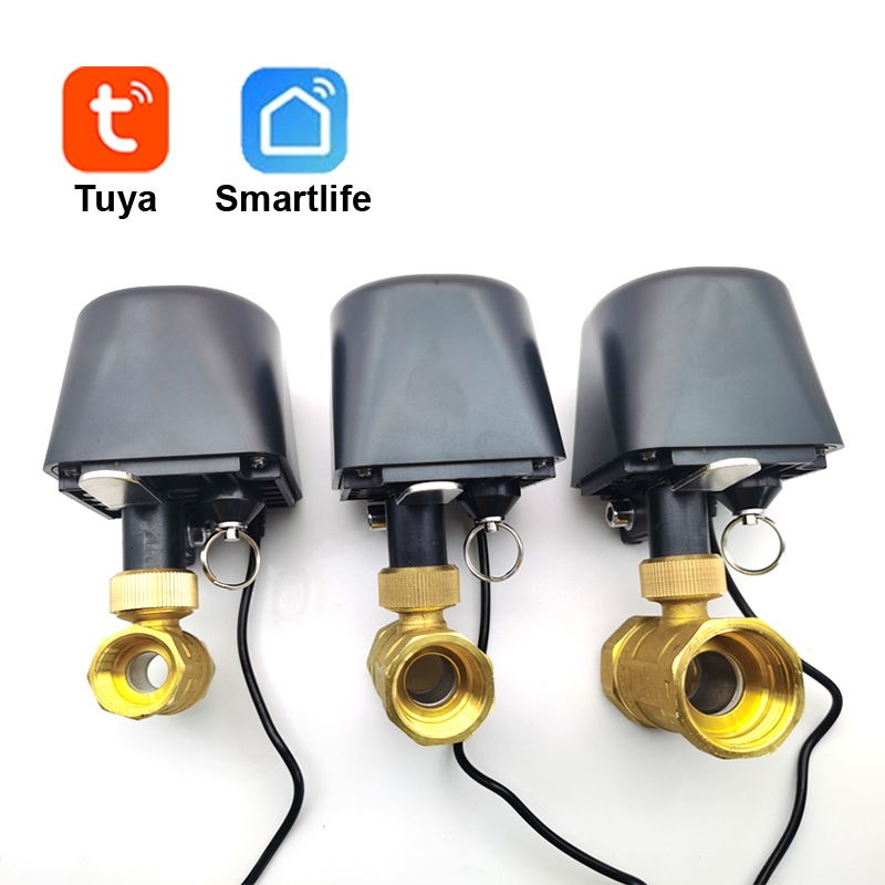 Tuya WiFi or Zigbee Water Valv - Smart Garden Timer ulasan dan harga